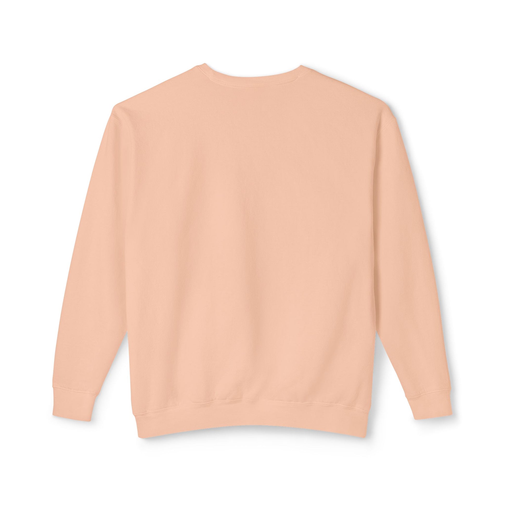 Men's Lightweight Crewneck Sweatshirt - Clix Bazaar