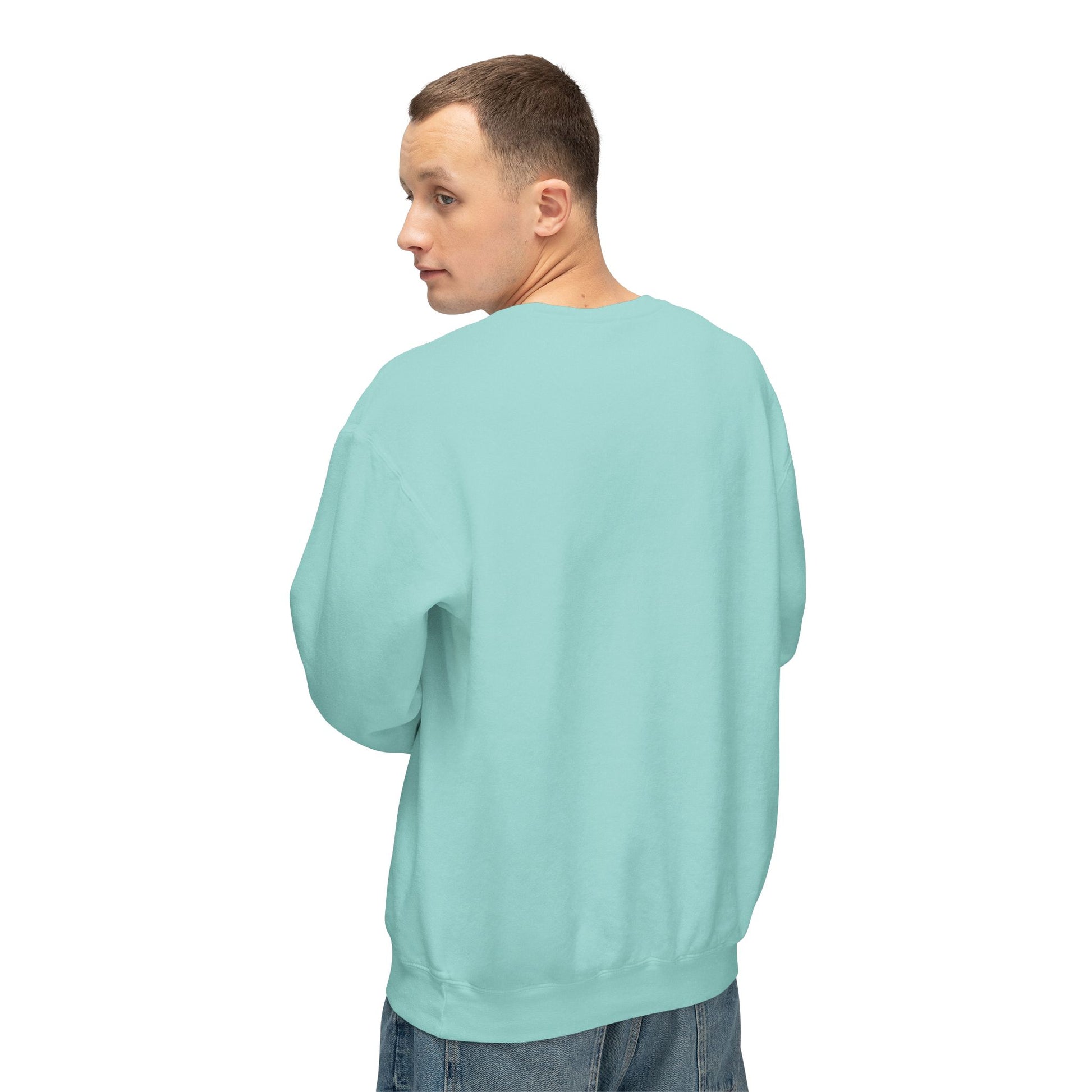 Men's Lightweight Crewneck Sweatshirt - Clix Bazaar