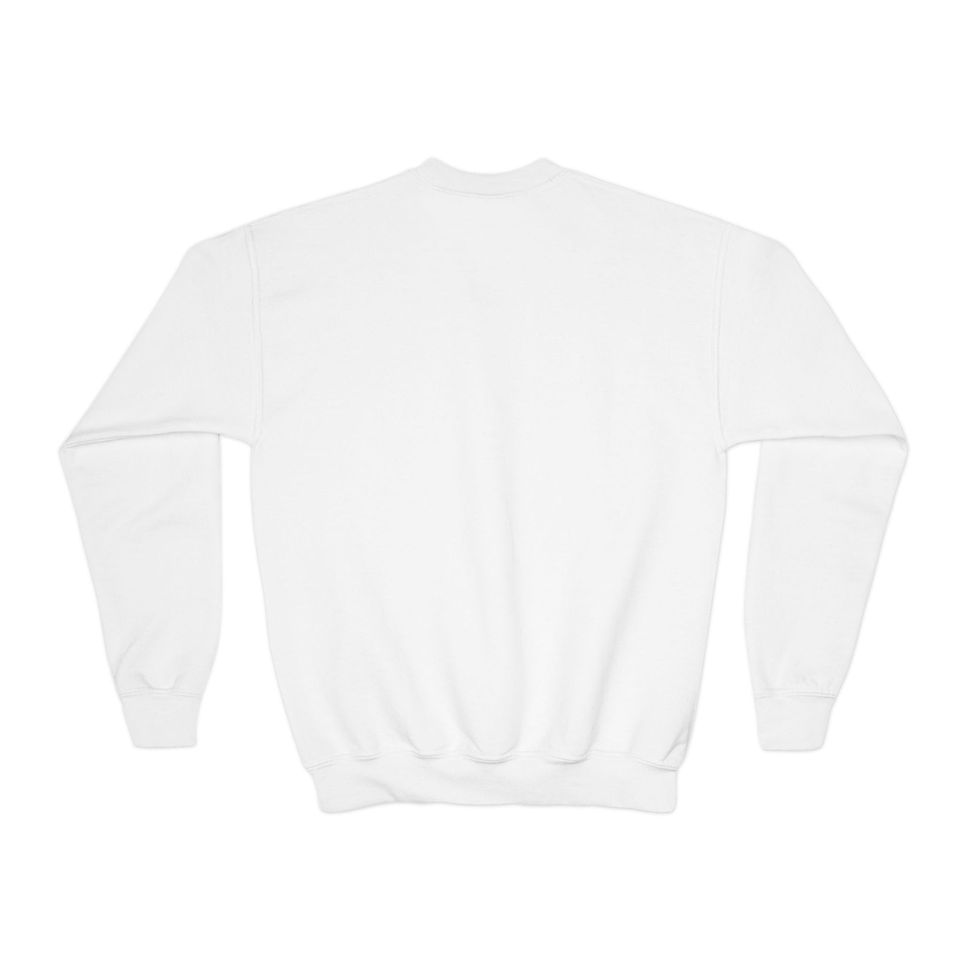 Youth Crewneck Sweatshirt - Clix Bazaar