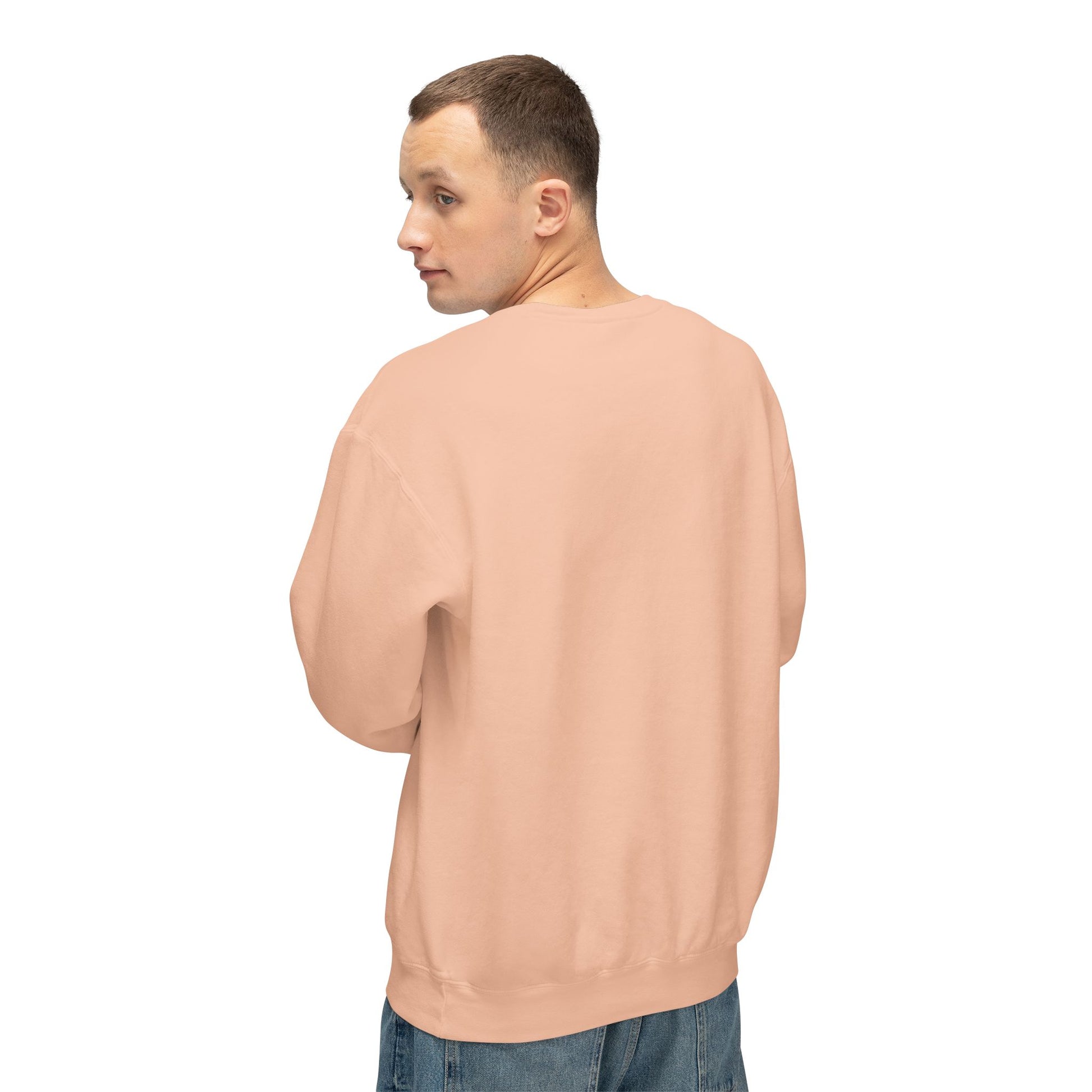 Men's Lightweight Crewneck Sweatshirt - Clix Bazaar