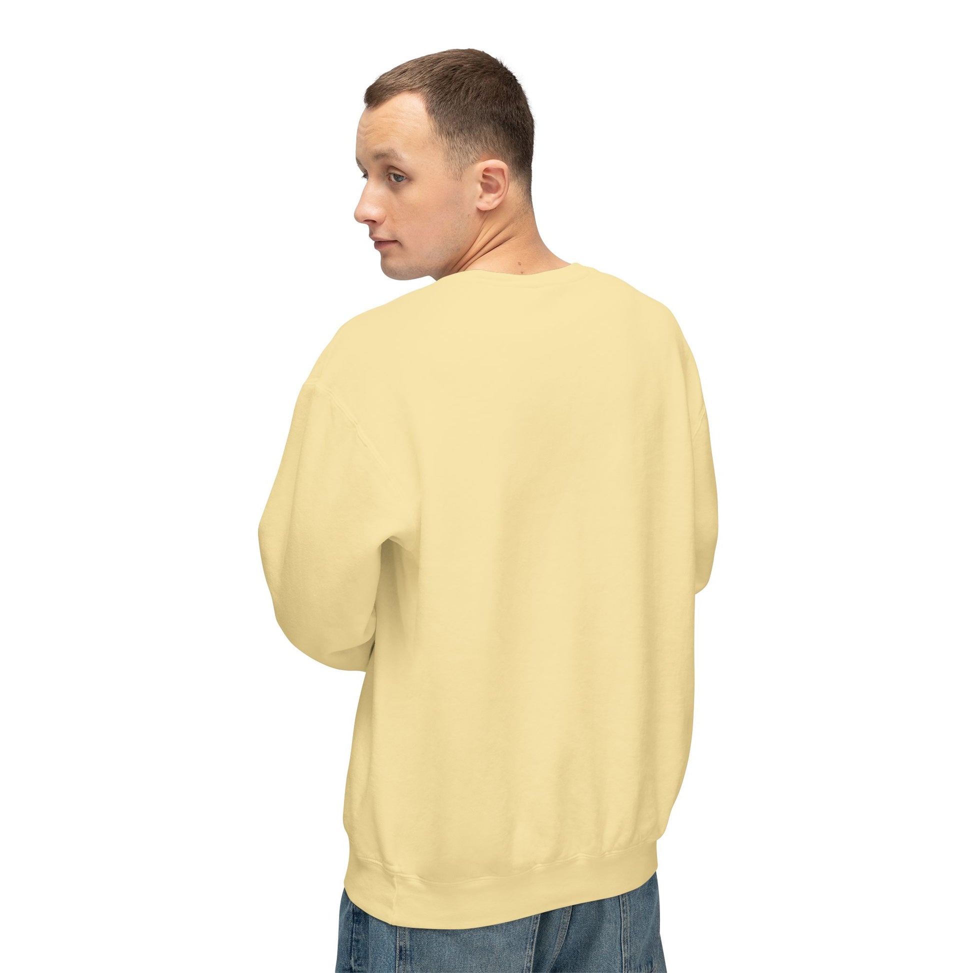 Men's Lightweight Crewneck Sweatshirt - Clix Bazaar